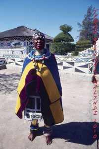 Fabrizio Garghetti, Biennale Malindi 2